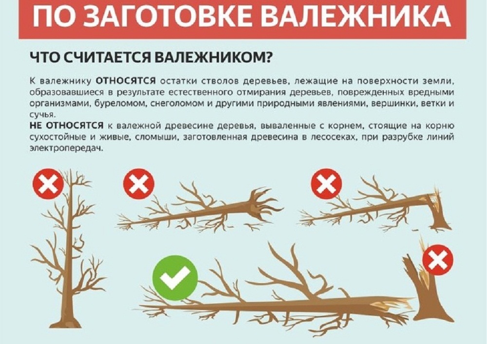 Valezhnik.jpg