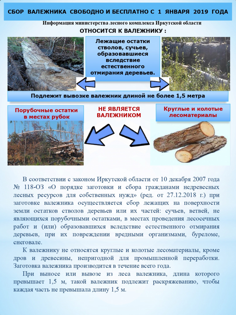 валежник.jpg